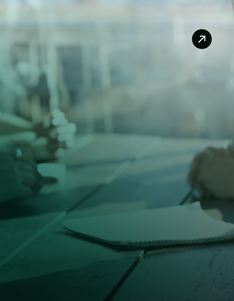 Software consulting